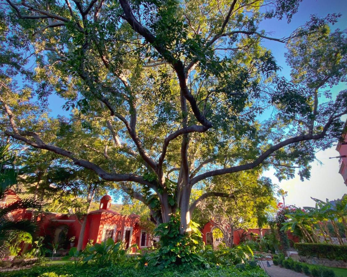 Hacienda De Los Santos Alamos Exterior photo