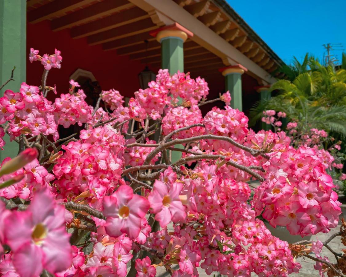 Hacienda De Los Santos Alamos Exterior photo